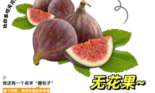 乌梅陈皮饮的功效与作用及禁忌-乌梅陈皮茯苓泡水喝功效-专业乌梅陈皮饮的功效与作用及禁忌平台-乌梅陈皮茯苓泡水喝功效与作用